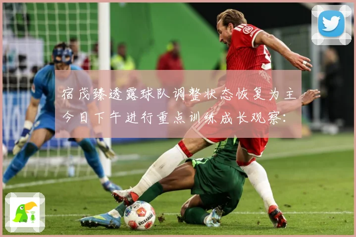 宿茂臻透露球队调整状态恢复为主今日下午进行重点训练成长观察：最新赛事动态与深度分析